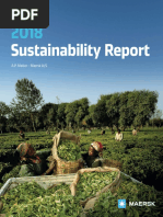 APMM Sustainability Report 2018