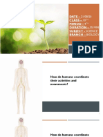 Plants Hormones in Presentation