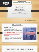 Biología 2° Medio. Clase #5. Sinapsis