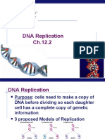 DNA Replication 2014