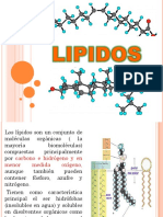 Lipidos 2020