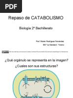 Repaso-Catabolismo 2c2babach