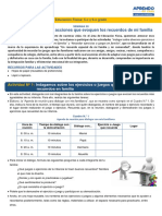 S20-Prim-Ciclo-V-5-6-Educacion-Fisica ALBORADA