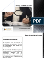 Auditoría Forense - Peritaje Contable 3