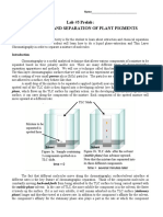 Extraction and Separation of Plant Pigments