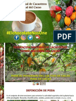 PODA EN CACAO Curso Virtual