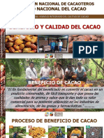 BENEFICIO Y CALIDAD Curso Virtual PDF