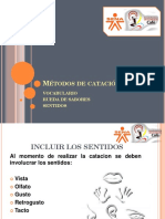 3 Clase de Catacion Presentacion PDF