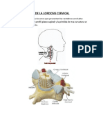 Rectificacion de La Lordosis Cervical