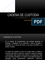 Cadena de Custodia