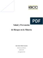 Control S8 - Salud y Prevencion de Riesgos en La Mineria