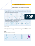 Axa de Simetrie PDF