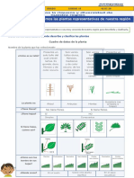 Ciencia y Tecnologia PDF