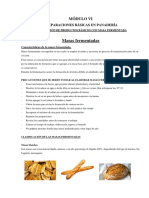 2 - Elaboración de Productos Básicos Con Masa Fermentadamódulo Vi PDF