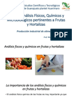 Hotalizas 3 PDF