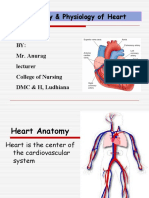 Anatomy & Physiology of Heart: BY: Mr. Anurag Lecturer College of Nursing DMC & H, Ludhiana