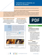 6.2 - P - Camaron - Que - Se - Duerme - RU 26 de Marzo PDF