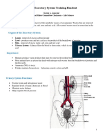 5 19 Excretory System PDF