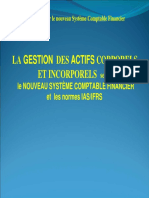 Les Immobilsations PDF