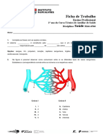 Ficha Trabalho 2