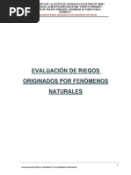 Evaluacion de Riesgos Originados Por Fenomenos Naturales