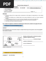 GTA #5 Biologia 11°