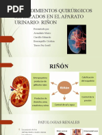 Procedimientos Quirúrgicos Realizados en El Aparato Urinario