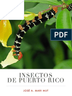 Insectos de Puerto Rico