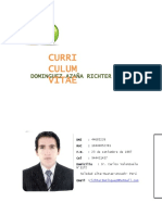 Curriculum Vitae #1