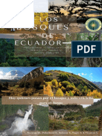 Los Bosques Del Ecuador