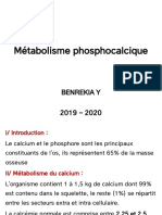 8-Métabolisme Phosphocalcique