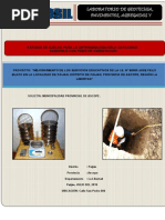 Informe Final - Estudio de Suelos