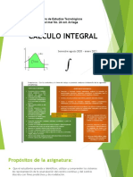 Presentacion-Calculo-Integral Historia 2019