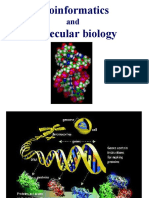 Bioinformatics Molecular Biology