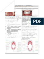 PRINCIPALES DIFERENCIAS DENTICION INFANTIL Y PERMANENTE Matrix