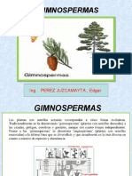 Gimnospermas (25)