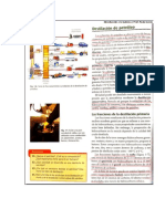 Actividad n5 Destilacion Del Petroleo