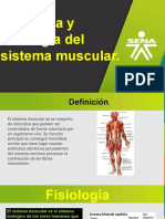 Anatomía y Fisiología Sistema Oseo, Respiratorio, Muscular y Endocrino