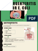 14 Gastroenteritis Por ECOLI