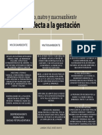 Micro, Matro y Macroambiente PDF