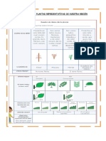 Conocemos Las Plantas Representativas de Nuestra Región