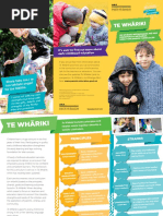 Te Whariki Parent Pamphlet English PDF