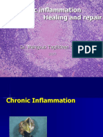 Chronic Inflammation Healing and Repair