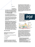 Membrane Deformability