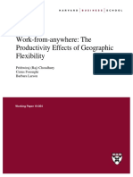 Work-From-Anywhere: The Productivity Effects of Geographic Flexibility
