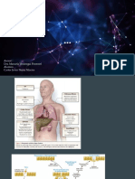 Fibrosis Cardiaca