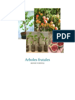 Arboles Frutales