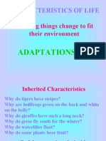 What Are Adaptations