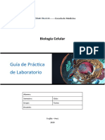 Guia de Practica RETICULO ENDOPLASMATICO