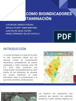 Líquenes Como Bioindicadores de La Contaminación